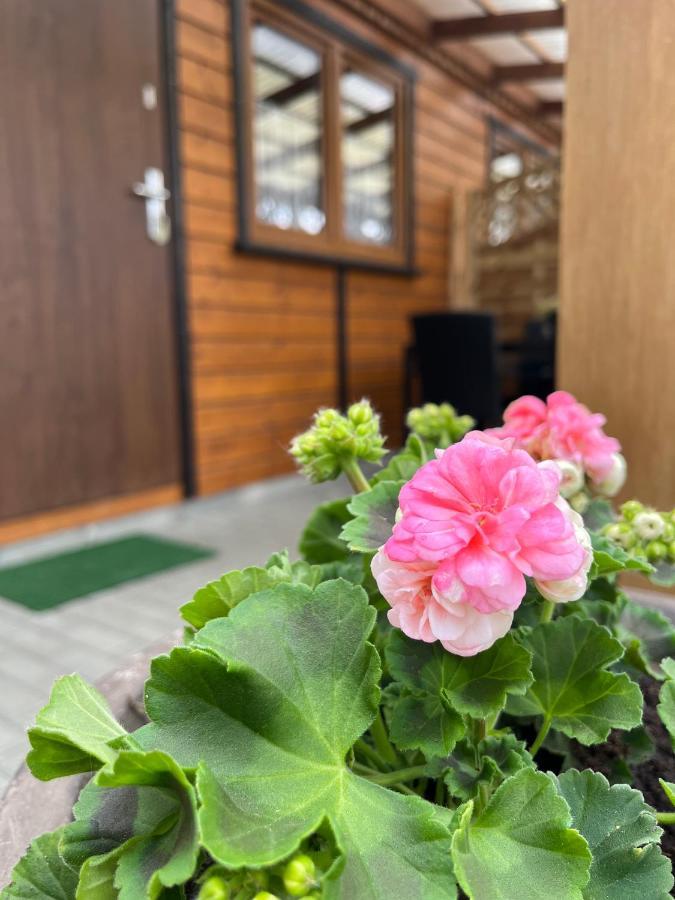 Holiday home Letniskowe Wiktorek