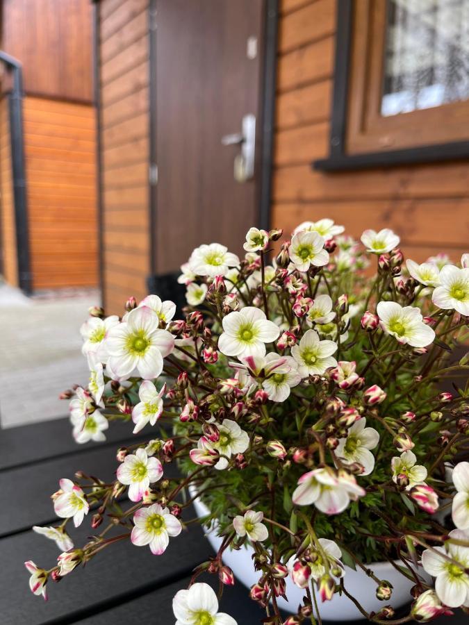 Holiday home Letniskowe Wiktorek Dziwnowek